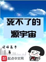 这宇宙脑子有坑封面