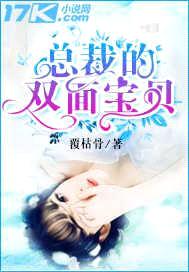 总裁的双面宝贝封面