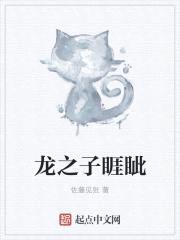 龙之子睚眦封面