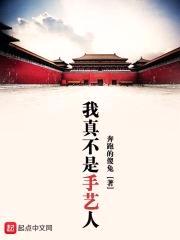 我真不是手艺人封面