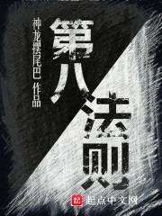 第八法则封面