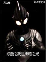 综漫之我是黑暗之光封面