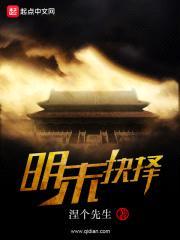 明末抉择封面