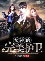 女神的完美护卫封面