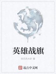 英雄战旗封面