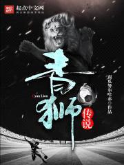 青狮传说封面