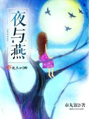 夜与燕封面