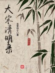 大宋清明录封面