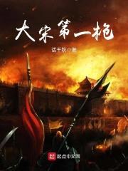 大宋第一枪封面