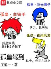 孤皇驾到封面