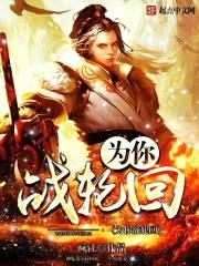 为你战轮回封面