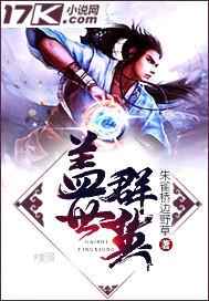盖世群英封面