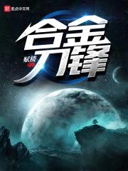 合金刀锋封面