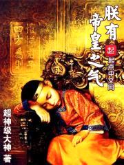 朕有帝皇之气封面