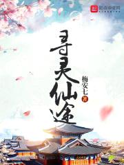 寻灵仙途封面