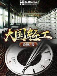 大国轻工封面