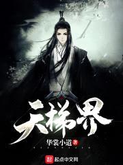 天梯界封面