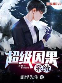 超级因果系统封面