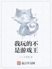 我玩的不是游戏王封面