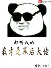 我的系统从恶念开始封面