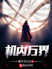 机内万界封面