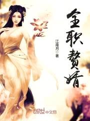 全职赘婿封面