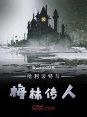哈利波特与救世双星封面