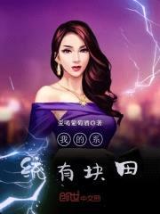 我的系统有块田封面