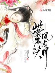 此案不关风与月封面