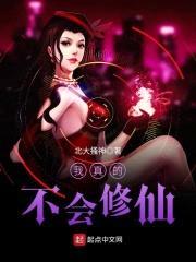 我真的不会修仙封面