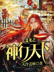 盘龙之神行天下封面