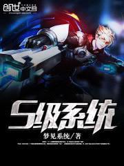 S级系统封面