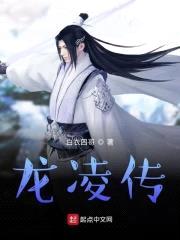 龙凌传封面
