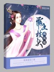 飞上枝头成凤凰封面