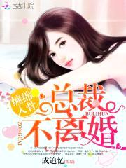 替身新娘：总裁，离婚吧封面