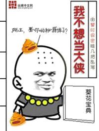 我不想当大侠封面