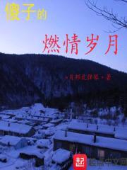 傻子的燃情岁月封面