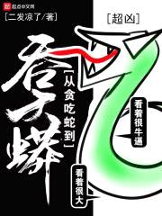 从贪吃蛇到吞天蟒封面