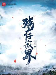 残存寂界封面