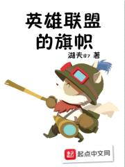 英雄联盟的旗帜封面