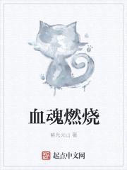 血魂燃烧封面