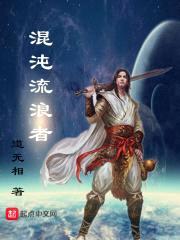 混沌流浪者封面