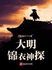 大明锦衣神探封面