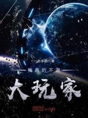 我真的不是大玩家封面