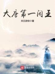 大唐第一闲王封面