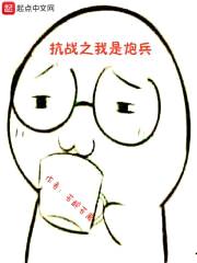 亮剑之我是炮兵封面