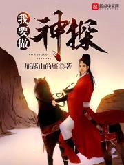 我要做神探封面