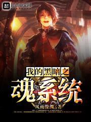 我的黑暗之魂系统封面