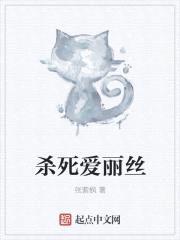 杀死爱丽丝封面