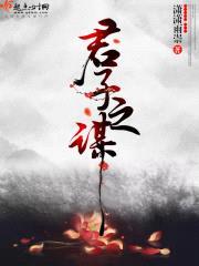 君子之谋封面